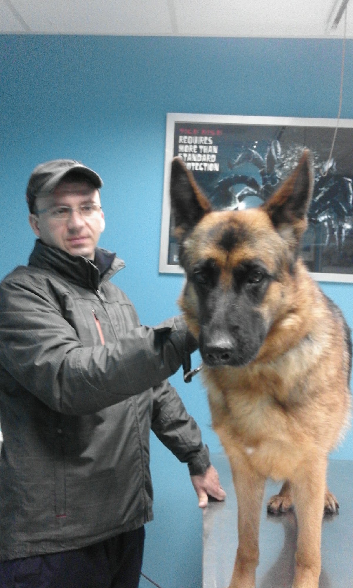 NS Vet - Zdravlje u Novom Sadu
