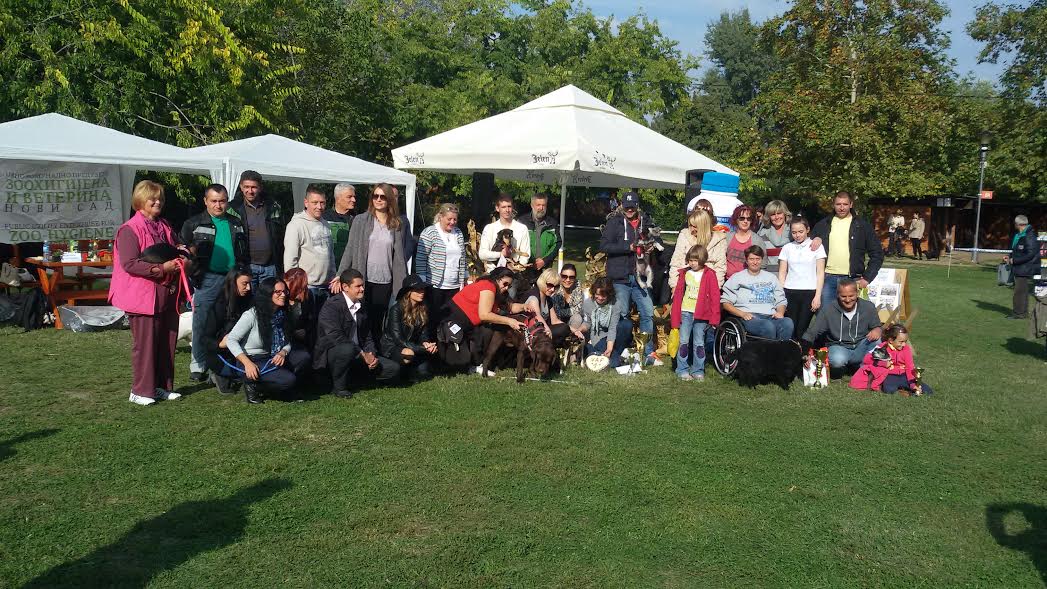 JKP Zoohigijena i Veterina Novi Sad - Zdravlje u Novom Sadu