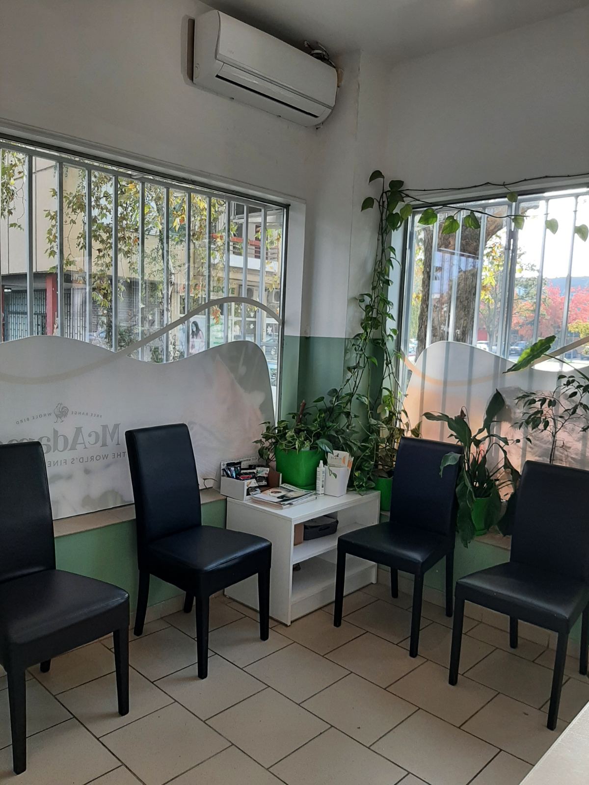 Darvin Veterinarska Ambulanta - Zdravlje u Novom Sadu