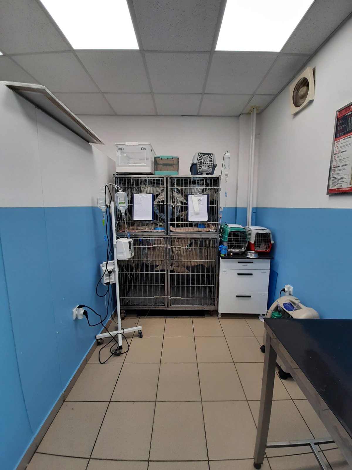 Darvin Veterinarska Ambulanta - Zdravlje u Novom Sadu