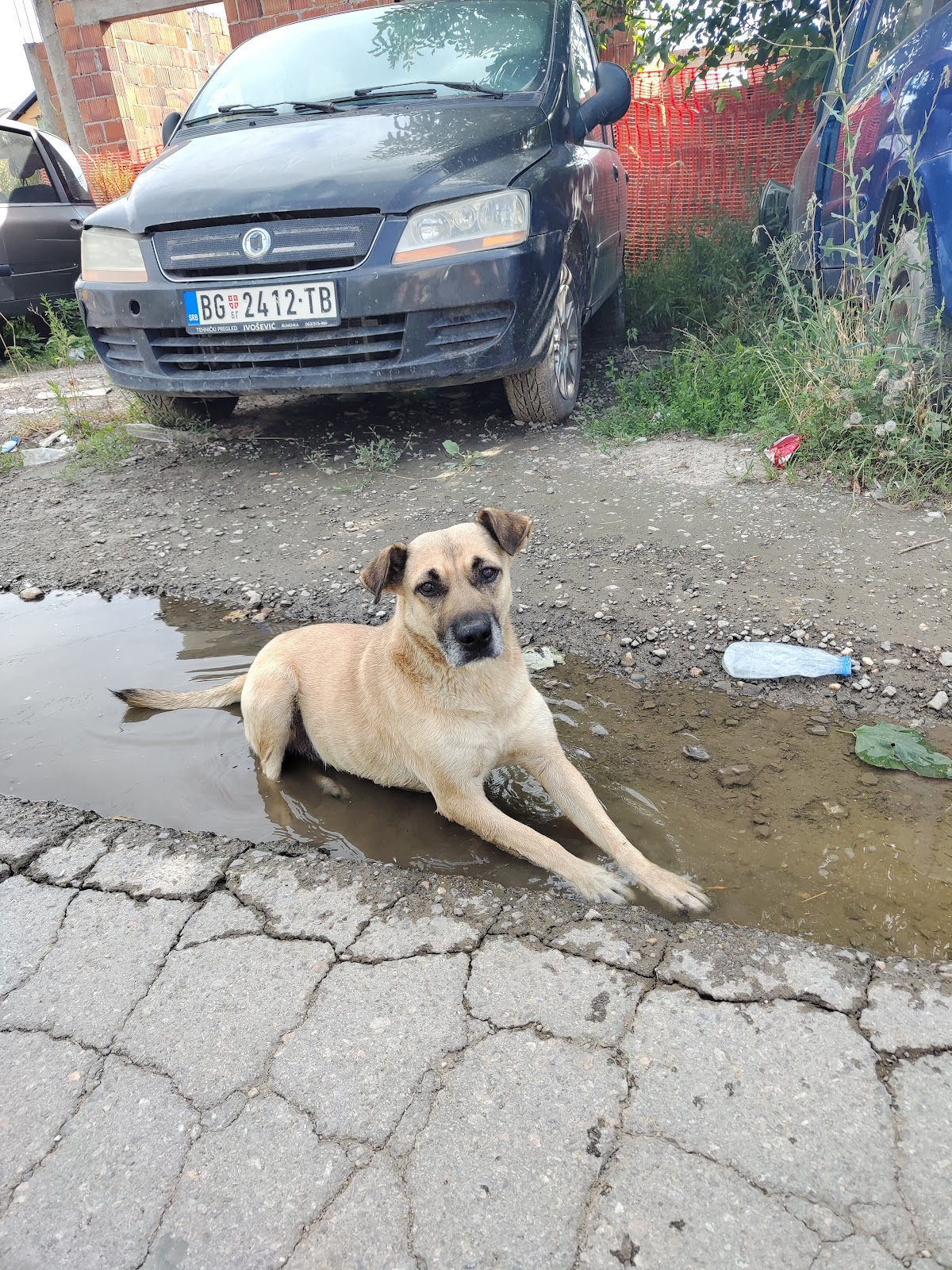 Ezop - Veterinarska ambulanta Novi Sad - Zdravlje u Novom Sadu