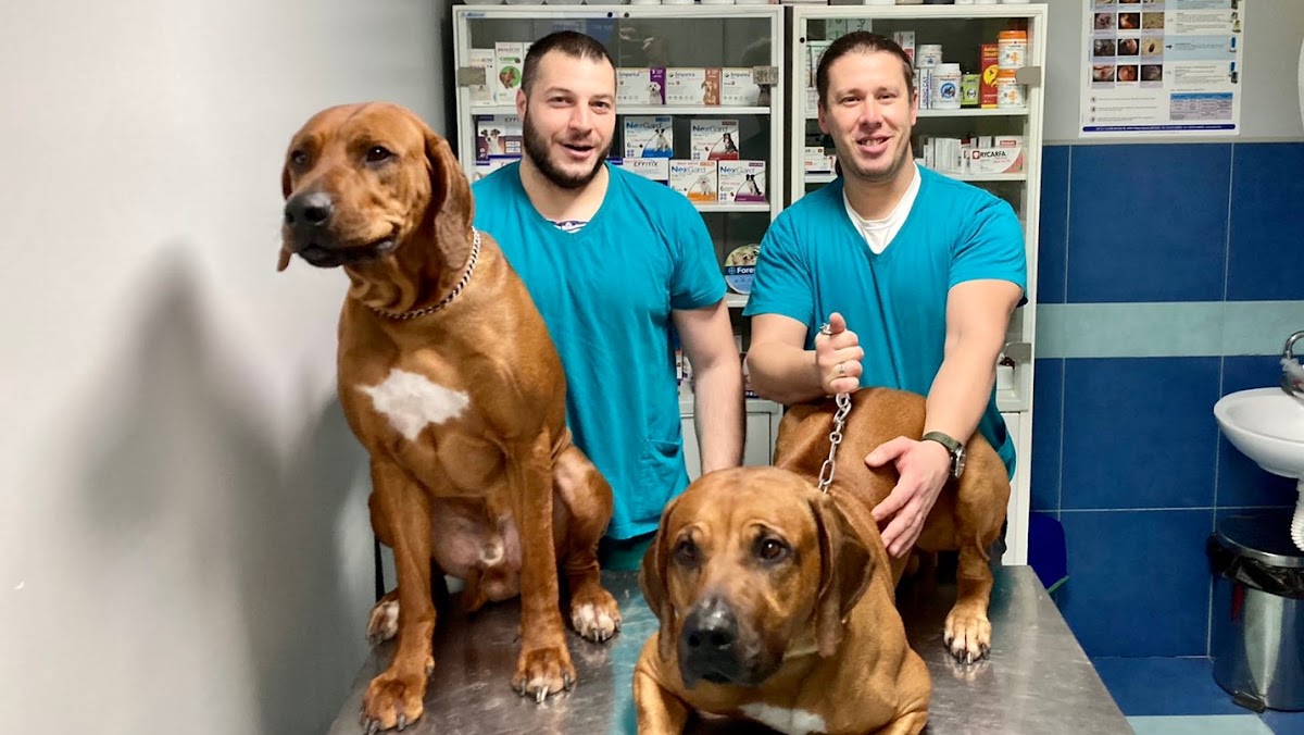 Veterinarska ambulanta "SiriusVET" - Zdravlje u Novom Sadu