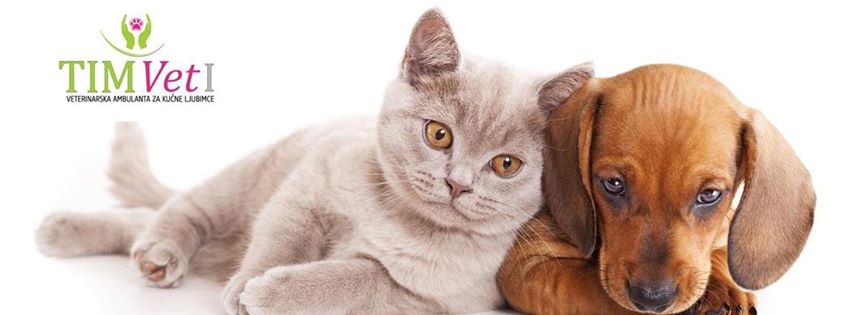 Veterinarska ambulanta TIM Vet - Zdravlje u Novom Sadu