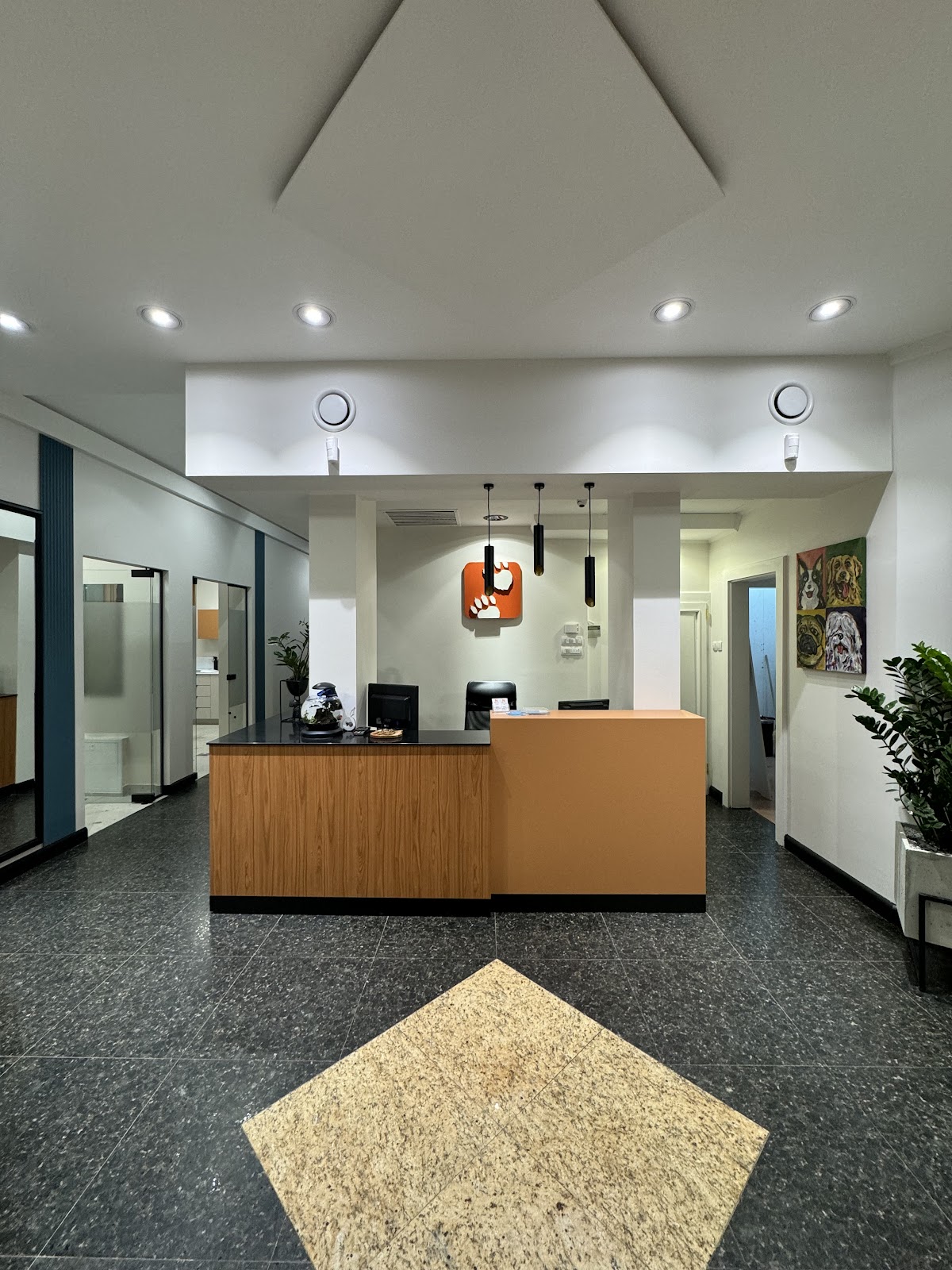 Veterinar Bilja Vet - Zdravlje u Novom Sadu
