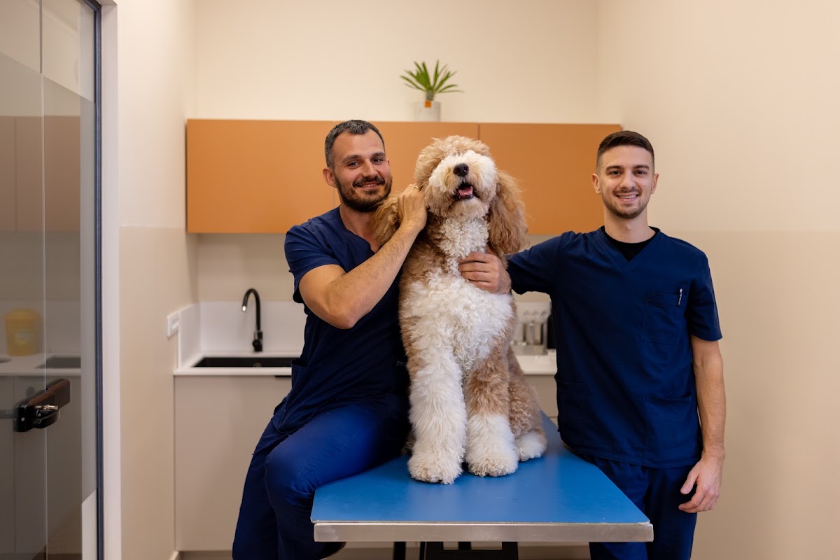Veterinar Bilja Vet - Zdravlje u Novom Sadu