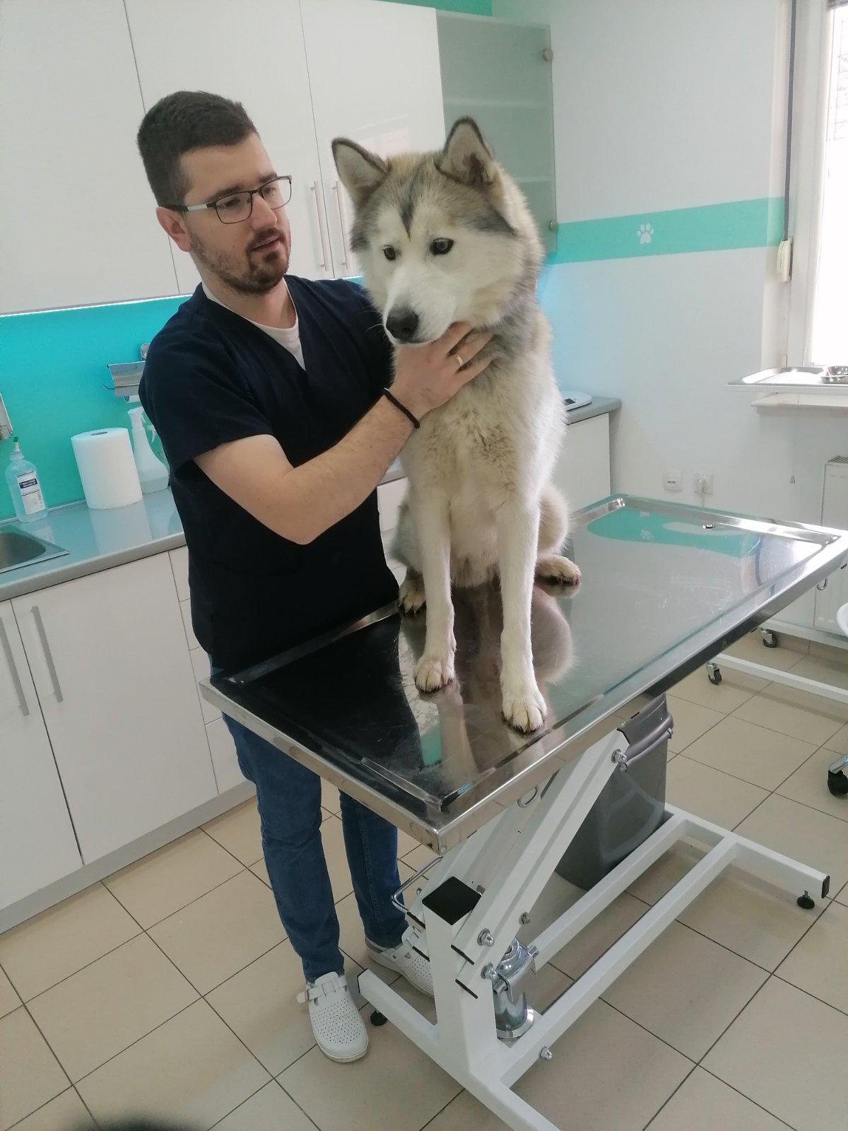 Nojeva barka Vet - Veterinarska ambulanta Novi Sad - Veterinar Novi Sad - Zdravlje u Novom Sadu