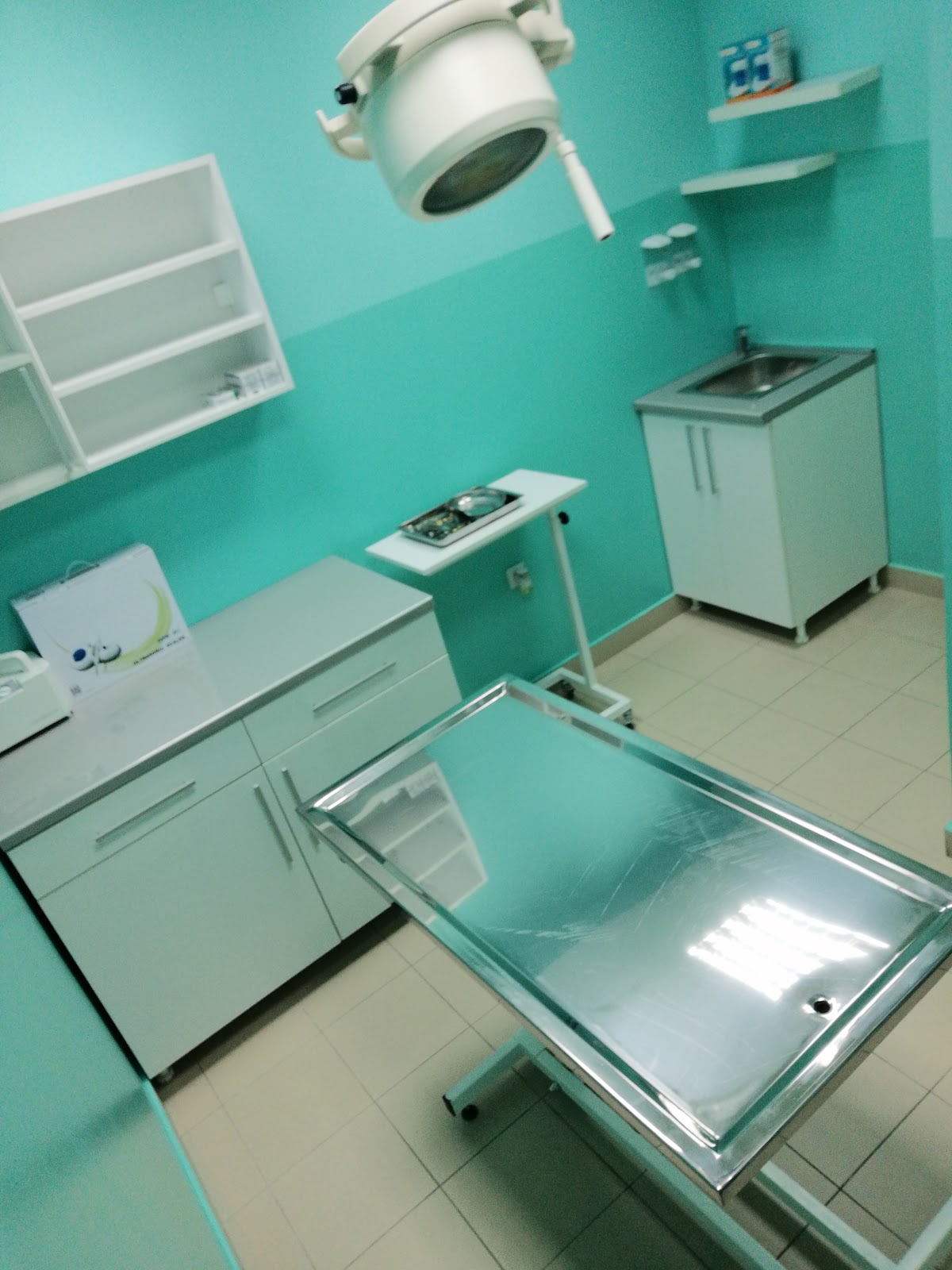 Nojeva barka Vet - Veterinarska ambulanta Novi Sad - Veterinar Novi Sad - Zdravlje u Novom Sadu