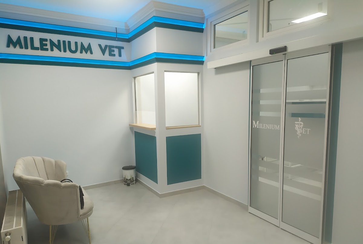 Veterinarska Ambulanta Milenium Vet - Novi Sad - Zdravlje u Novom Sadu