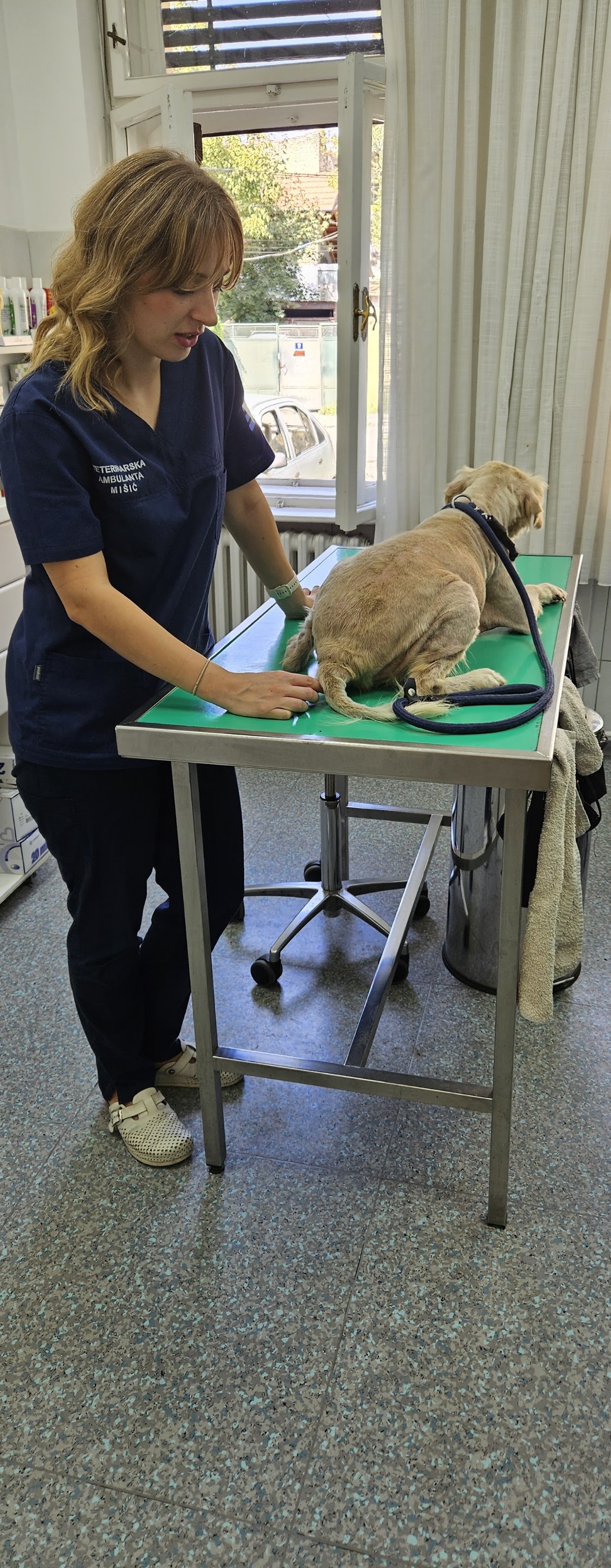Veterinarska ambulanta Mišić - Zdravlje u Novom Sadu