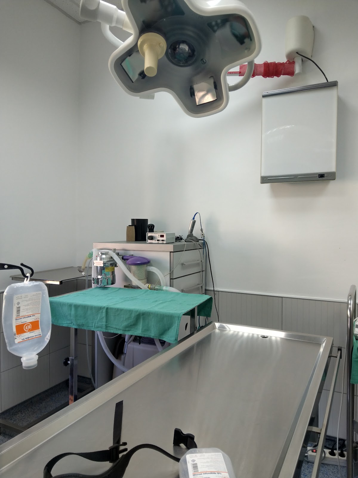 Veterinarska ambulanta Mišić - Zdravlje u Novom Sadu