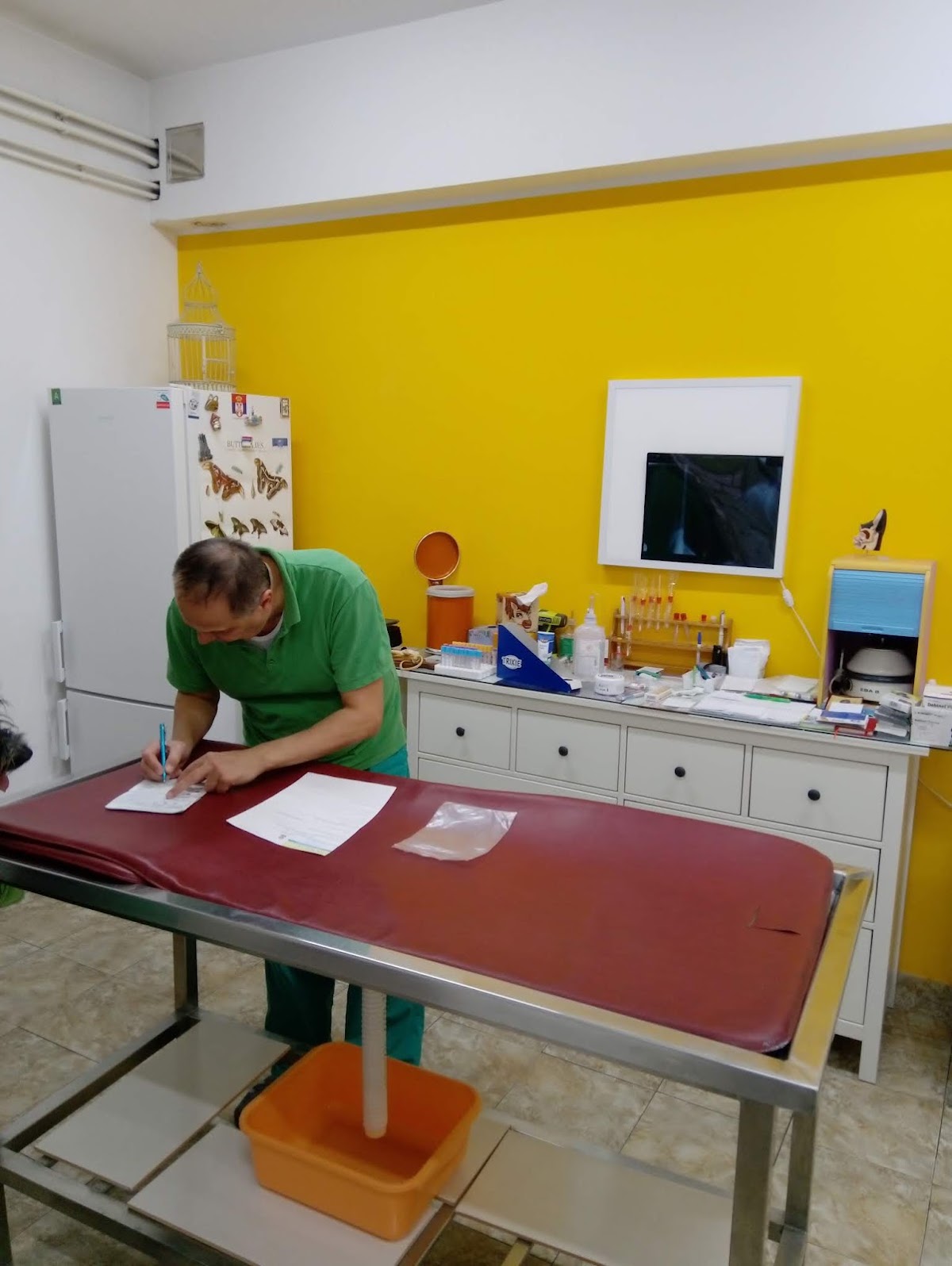 AtinaVET - Zdravlje u Novom Sadu