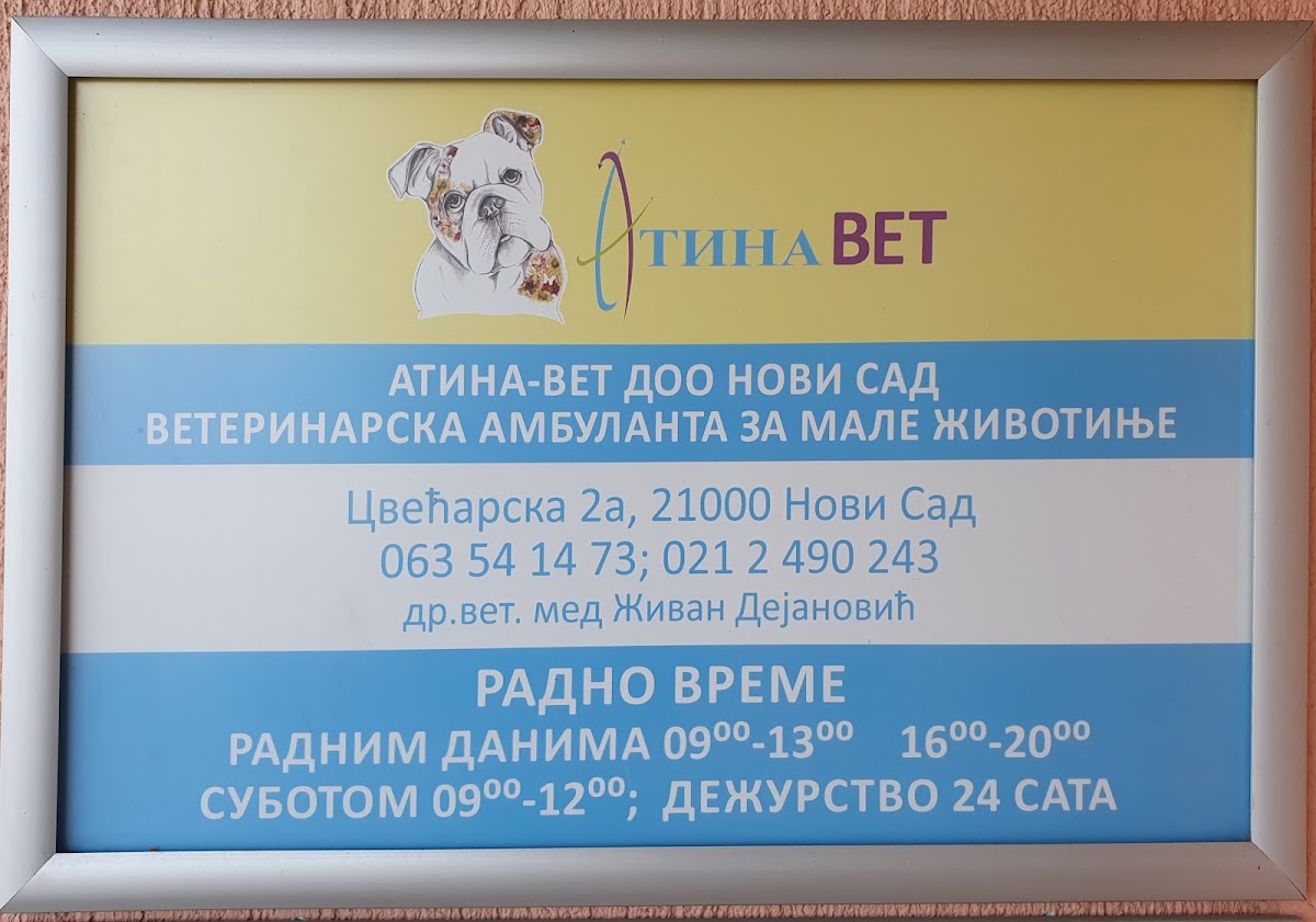 AtinaVET - Zdravlje u Novom Sadu