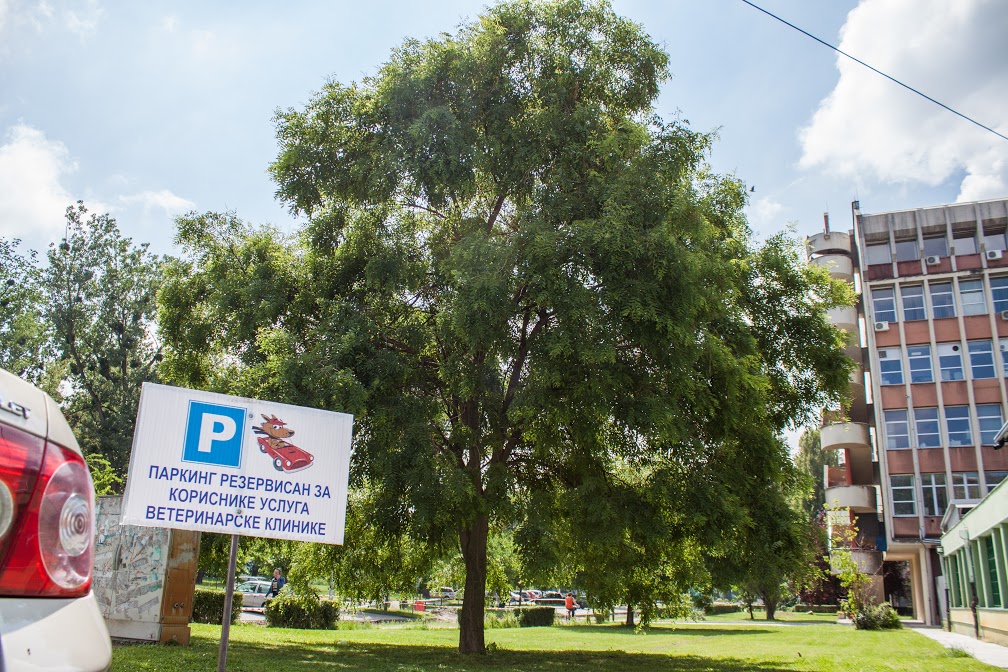 Veterinarska klinika - Departman za veterinarsku medicinu - Zdravlje u Novom Sadu