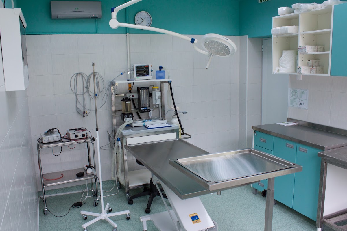 Veterinarska klinika - Departman za veterinarsku medicinu - Zdravlje u Novom Sadu