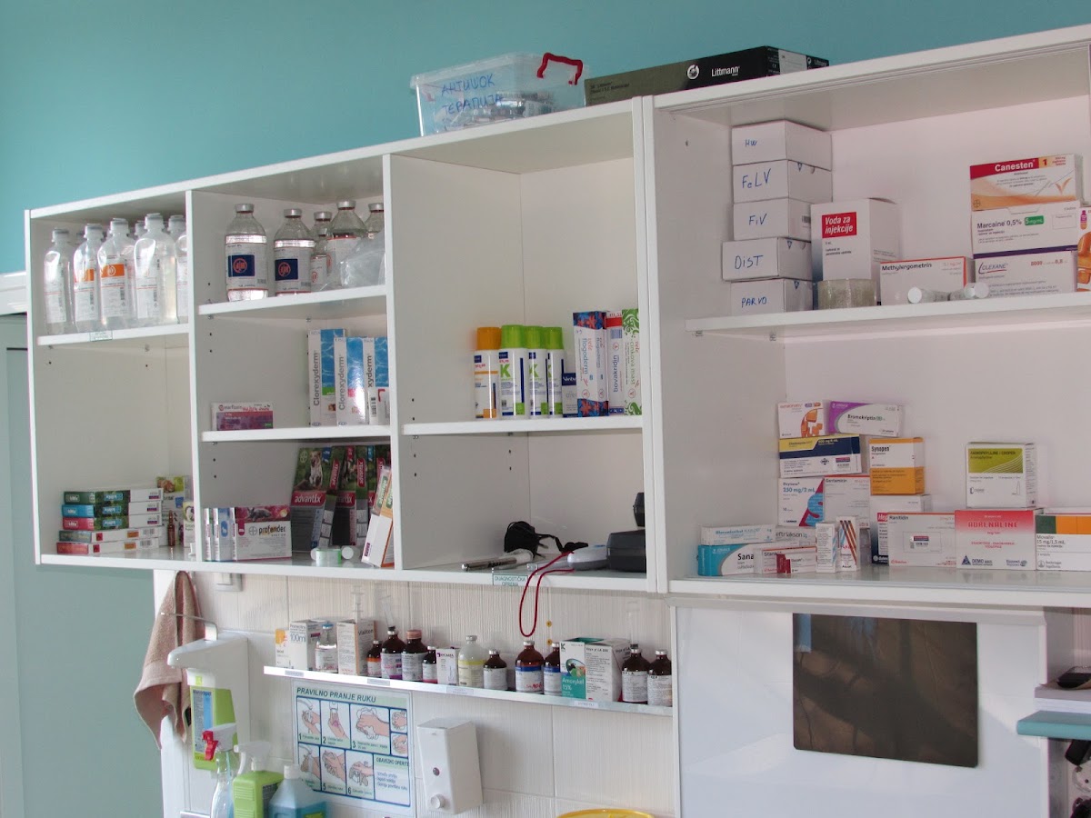 Veterinarska klinika - Departman za veterinarsku medicinu - Zdravlje u Novom Sadu
