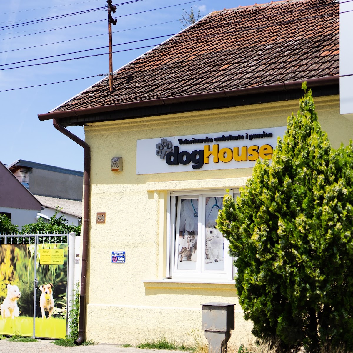 Dog House - Zdravlje u Novom Sadu