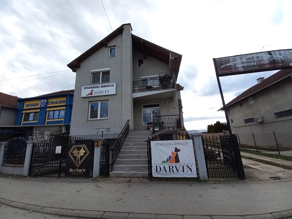 Veterinar Veternik - Darvin veterinarska ambulanta - Zdravlje u Novom Sadu
