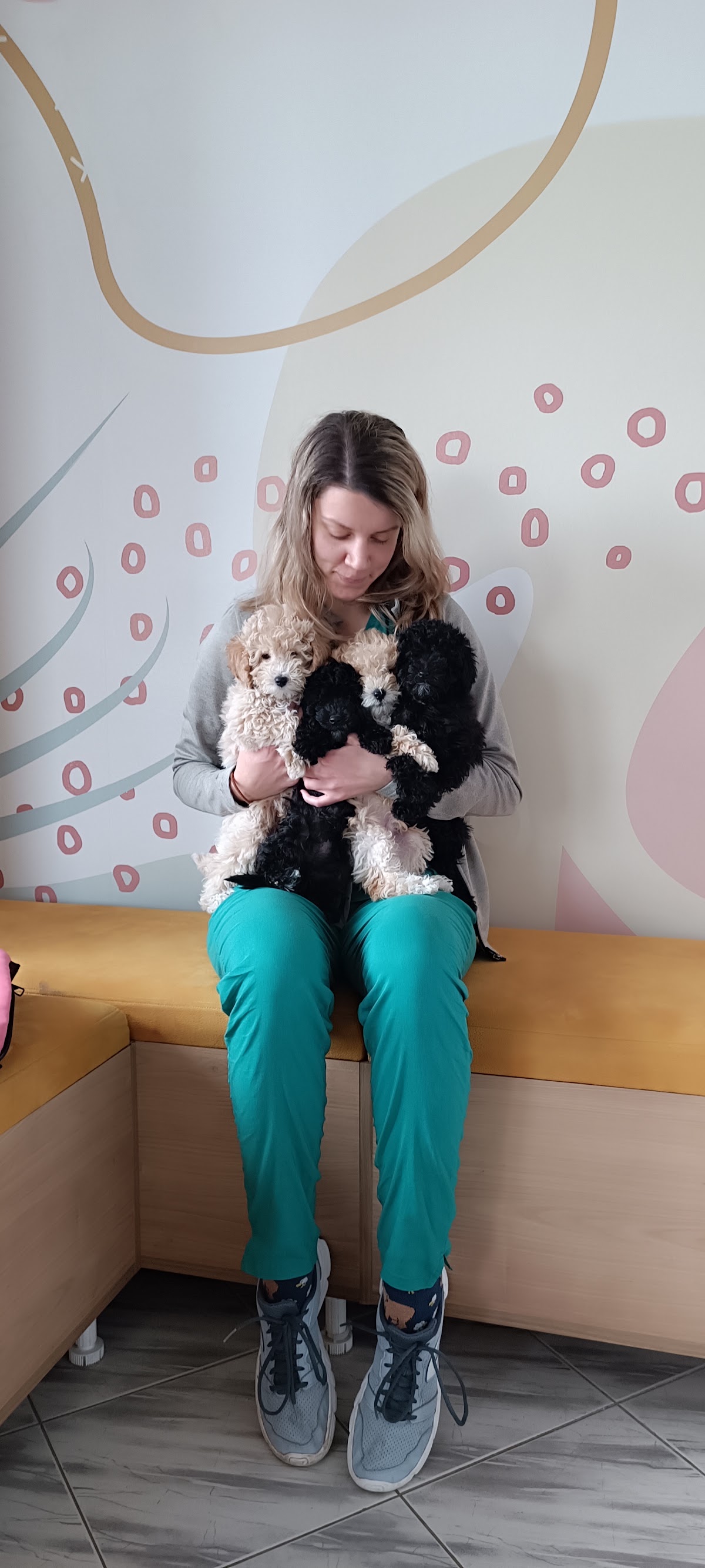 Veterinar Veternik - Darvin veterinarska ambulanta - Zdravlje u Novom Sadu