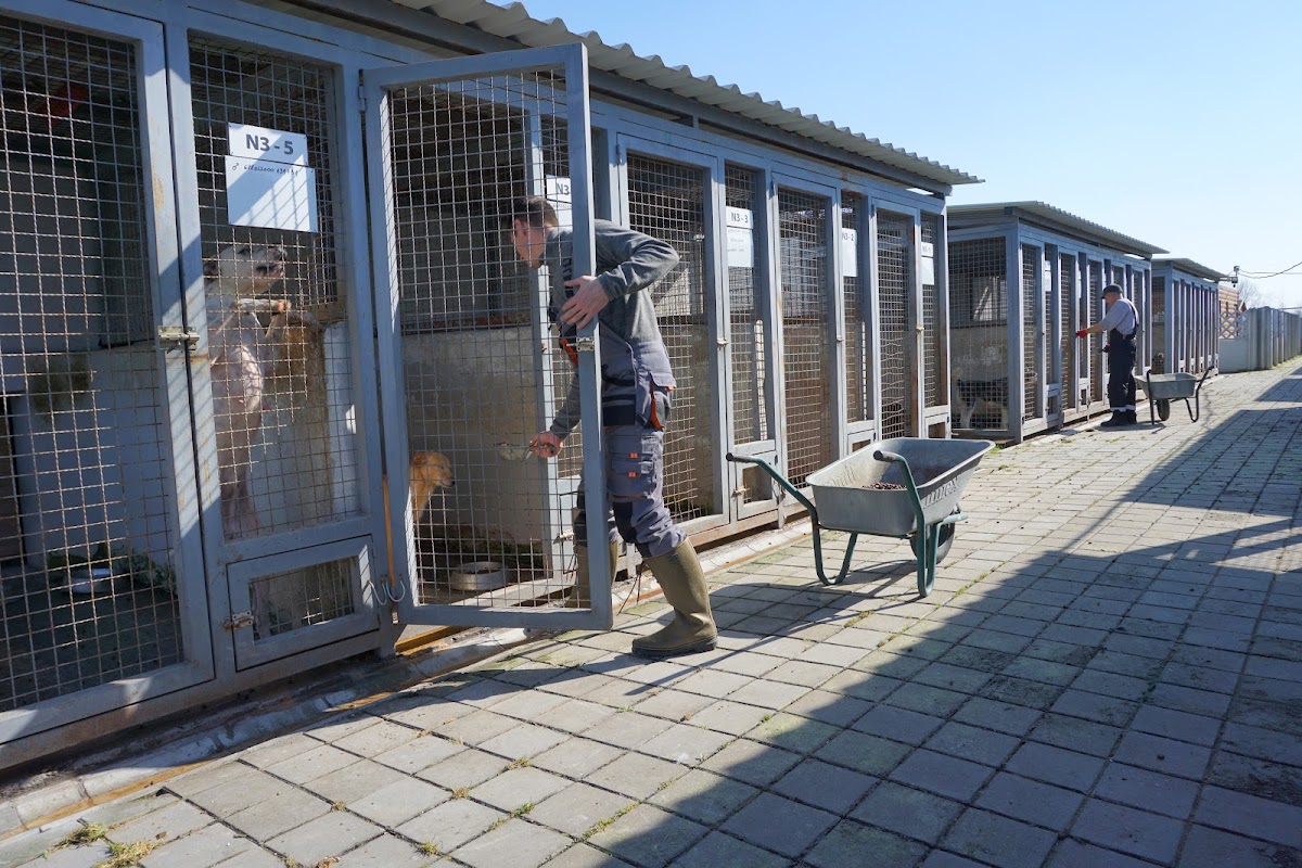 JKP Zoohigijena i Veterina Novi Sad - Zdravlje u Novom Sadu