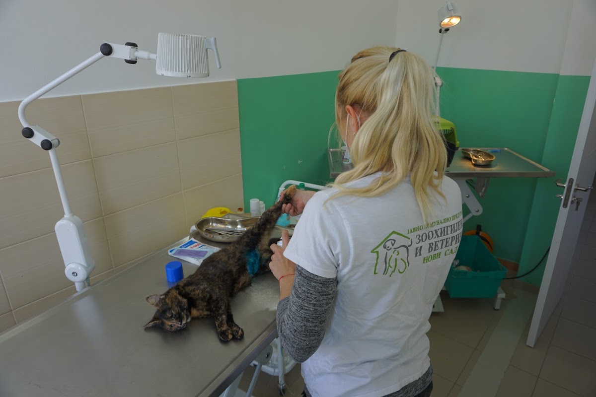 JKP Zoohigijena i Veterina Novi Sad - Zdravlje u Novom Sadu