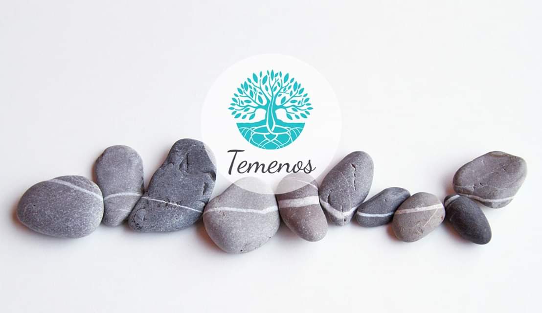 Temenos - Zdravlje u Novom Sadu