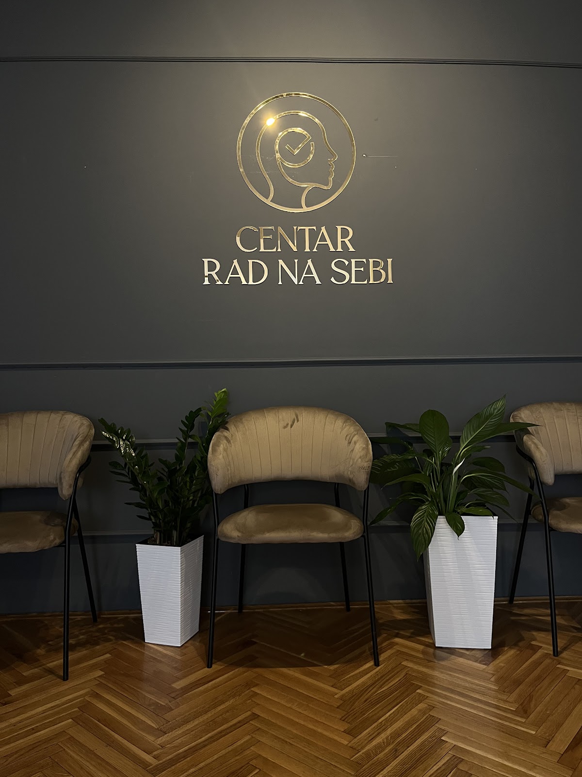 Centar Rad na Sebi (Psiholog - Novi Sad) - Zdravlje u Novom Sadu