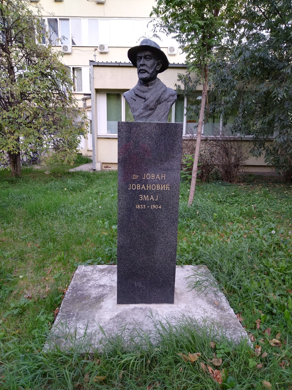 Dom Zdravlja "Jovan Jovanović Zmaj" - Zdravlje u Novom Sadu