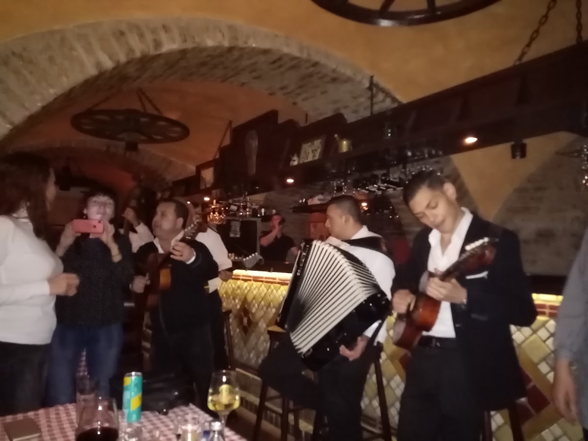 Kafana Vinski Podrum - Noćni život u Novom Sadu