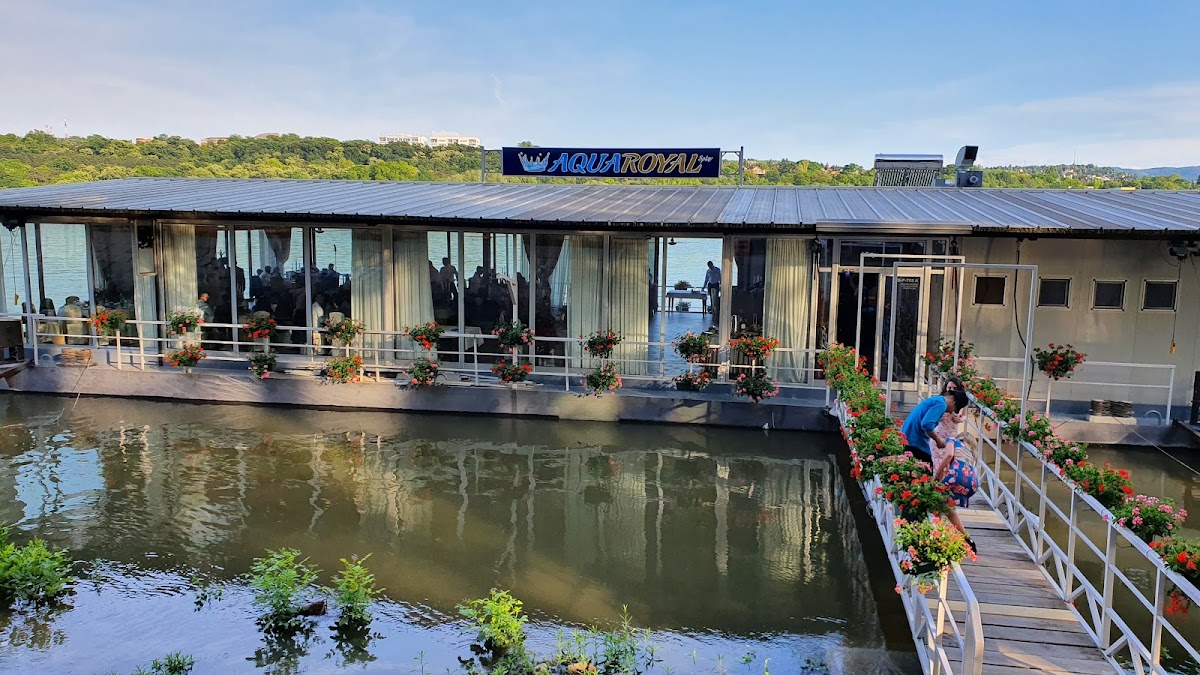 Splav Perla - Noćni život u Novom Sadu