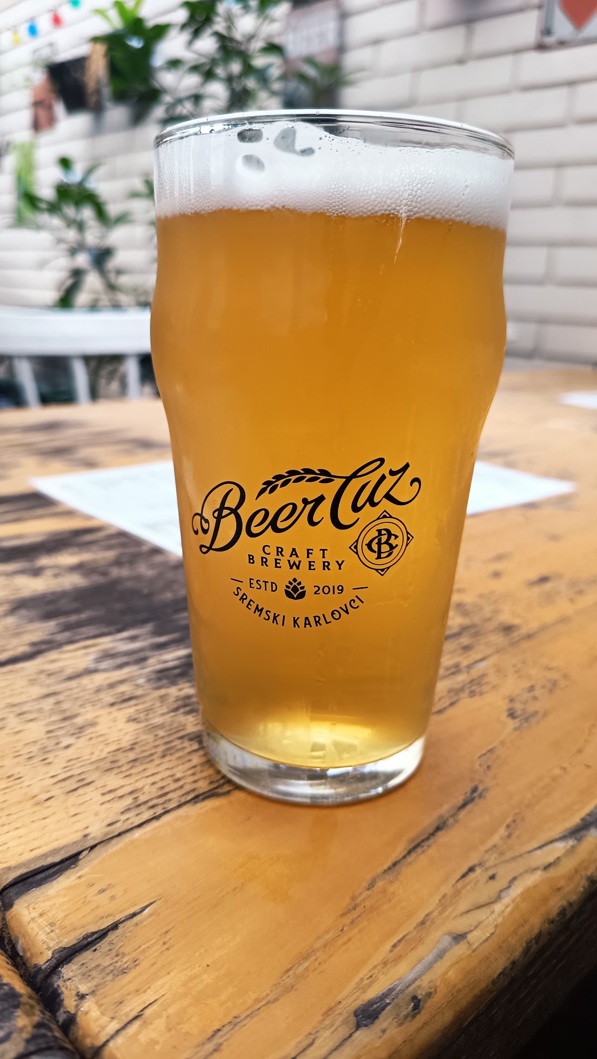 BeerCuz - Noćni život u Novom Sadu