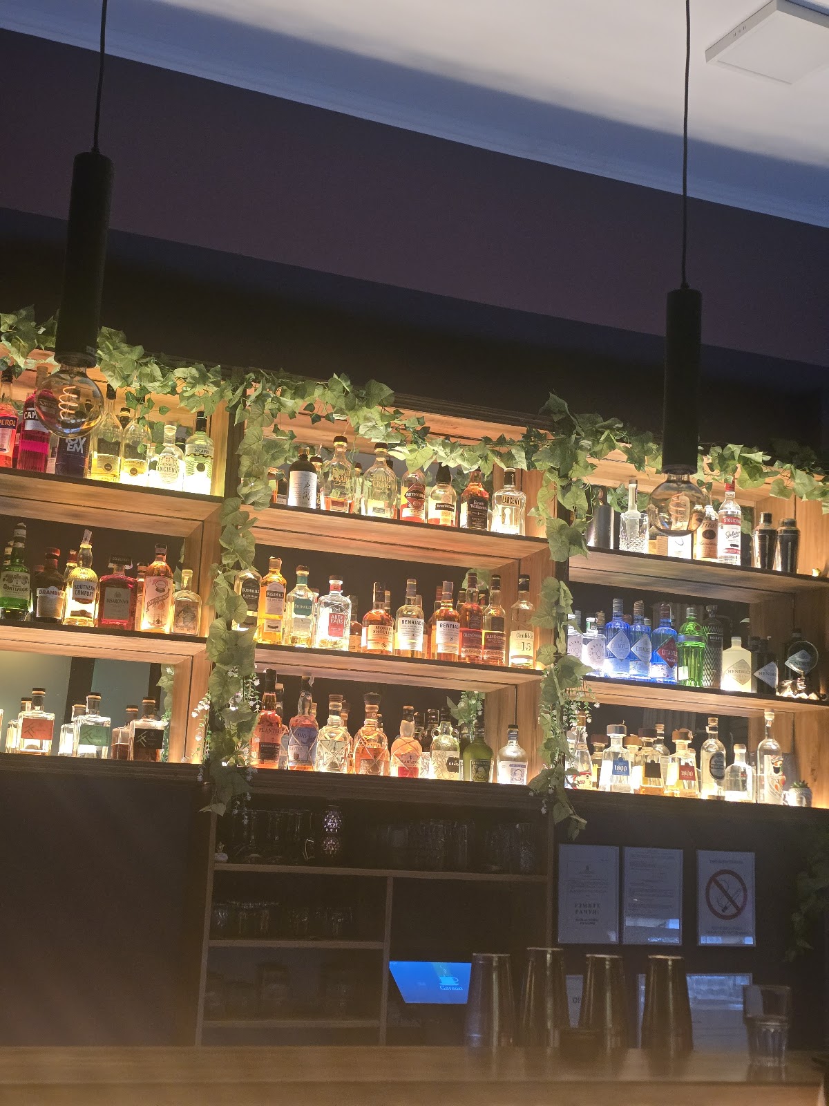 Ljiljan cocktail bar - Noćni život u Novom Sadu