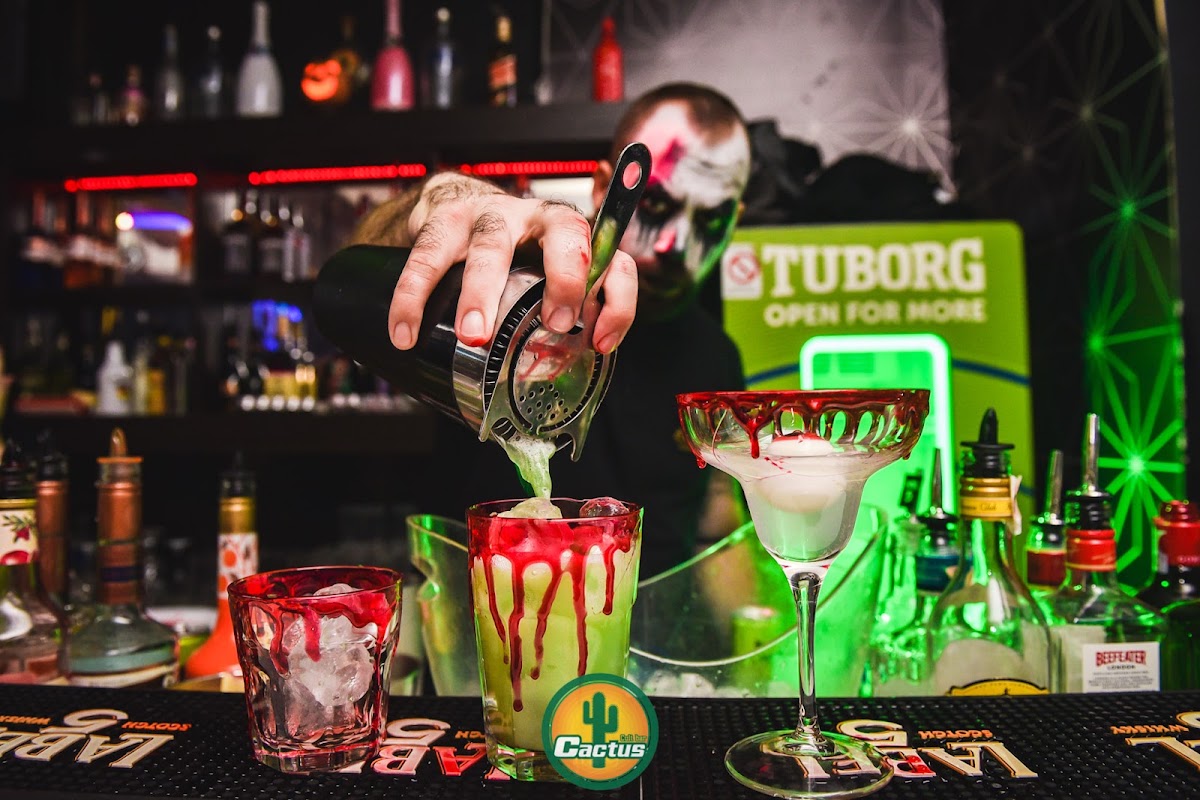 CACTUS BAR - Noćni život u Novom Sadu