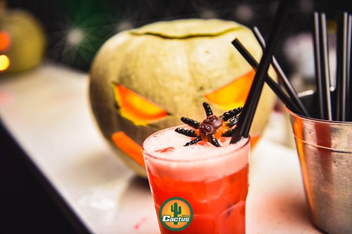 CACTUS BAR - Noćni život u Novom Sadu