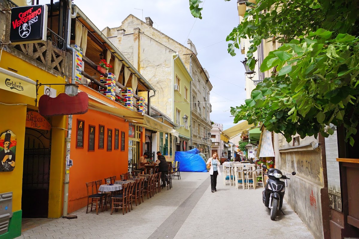 CACTUS BAR - Noćni život u Novom Sadu