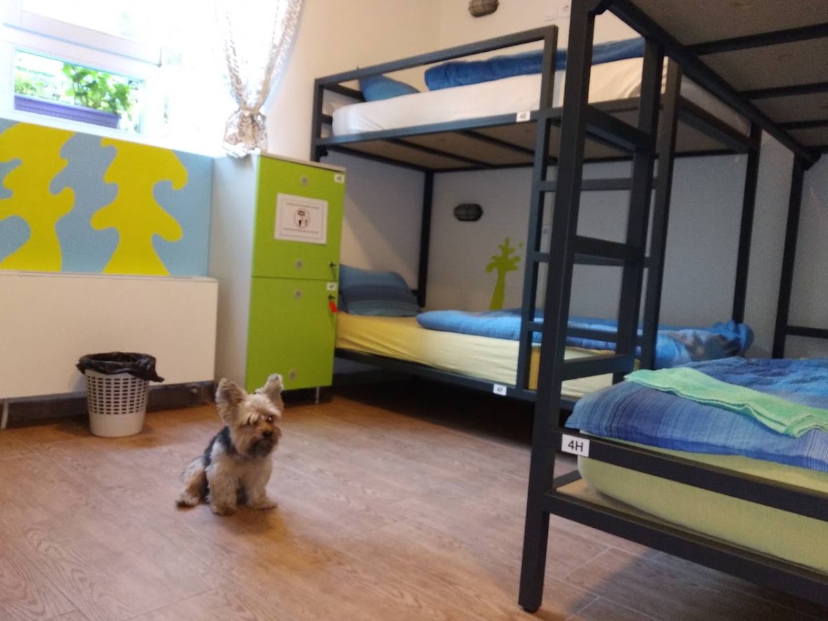 Varad In hostel - Hoteli u Novom Sadu