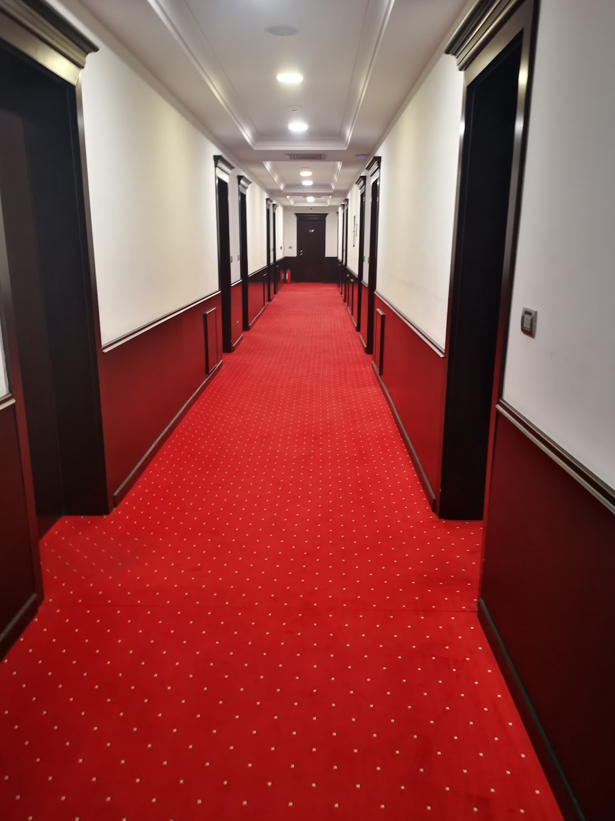 Ami Hotel - Hoteli u Novom Sadu