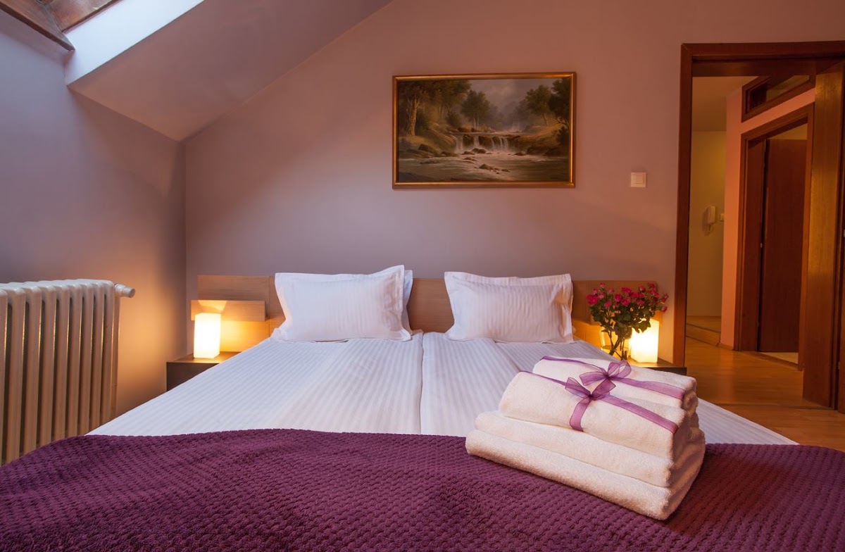 Hotel Veliki Novi Sad - Hoteli u Novom Sadu