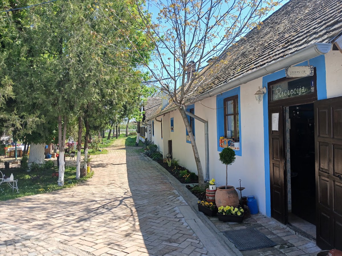 Salaš 137 - Hoteli u Novom Sadu