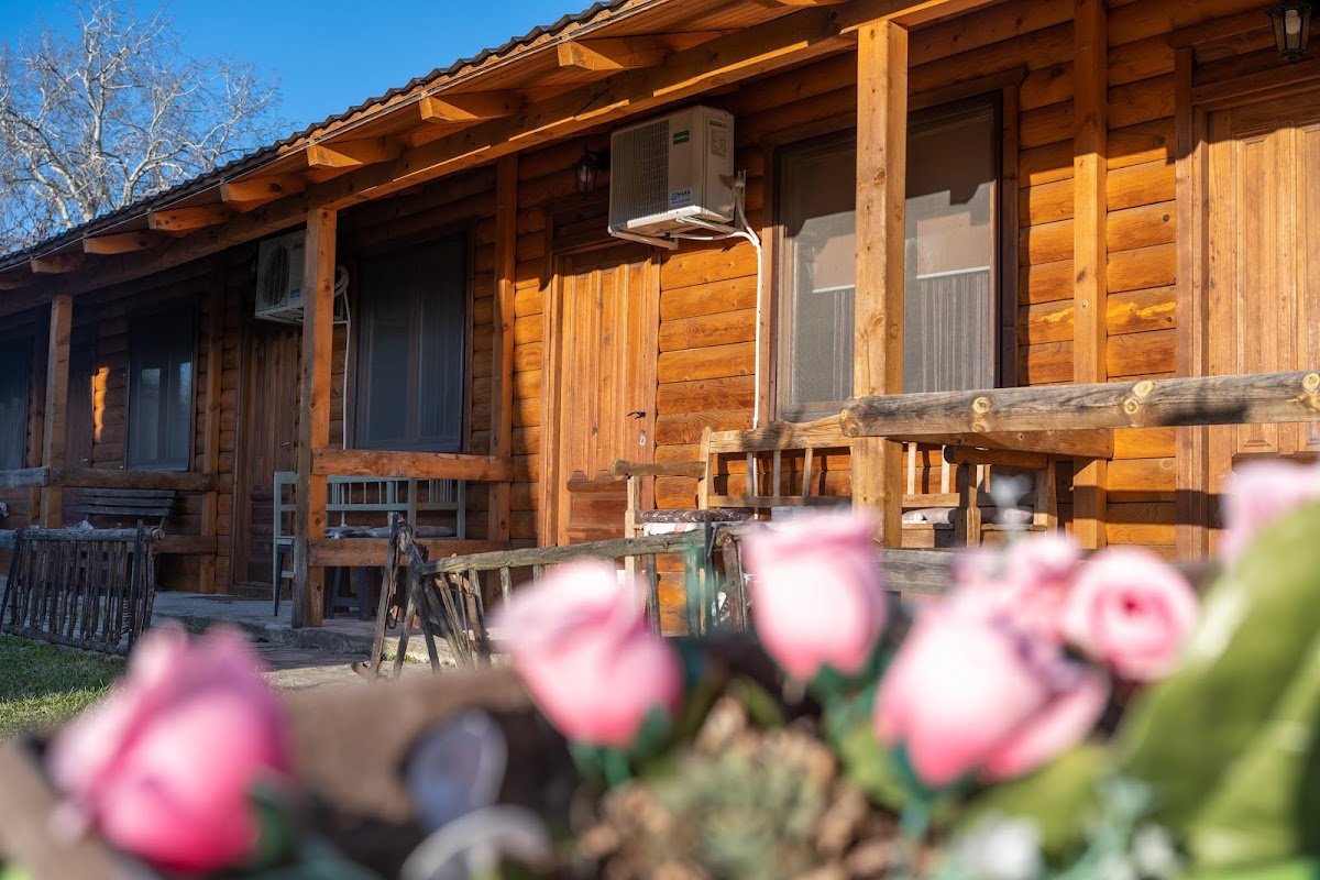 Lolini Bungalovi Novi Sad - Hoteli u Novom Sadu