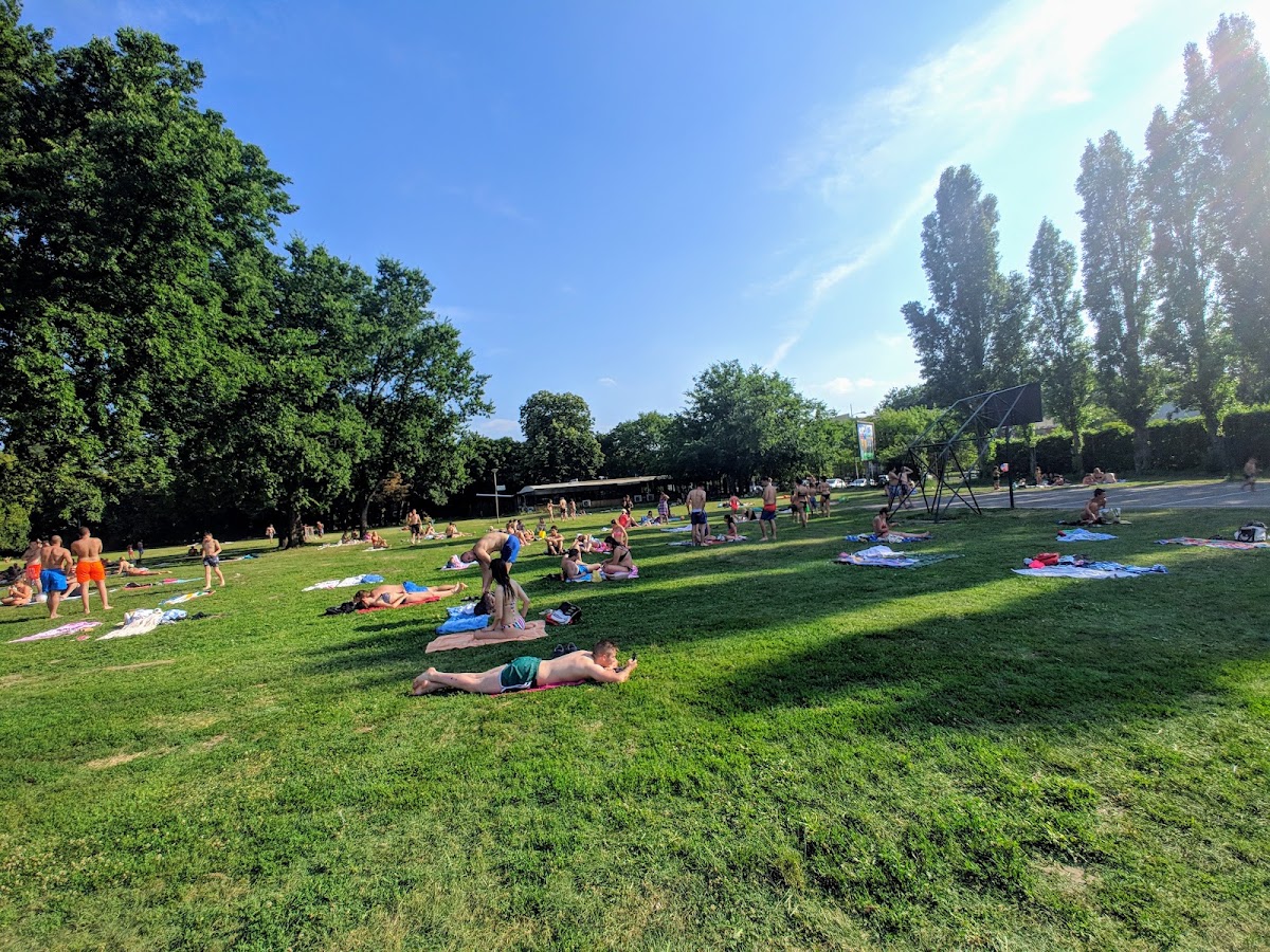 Otvoreni bazeni ,,Sajmište" - Bazeni u Novom Sadu