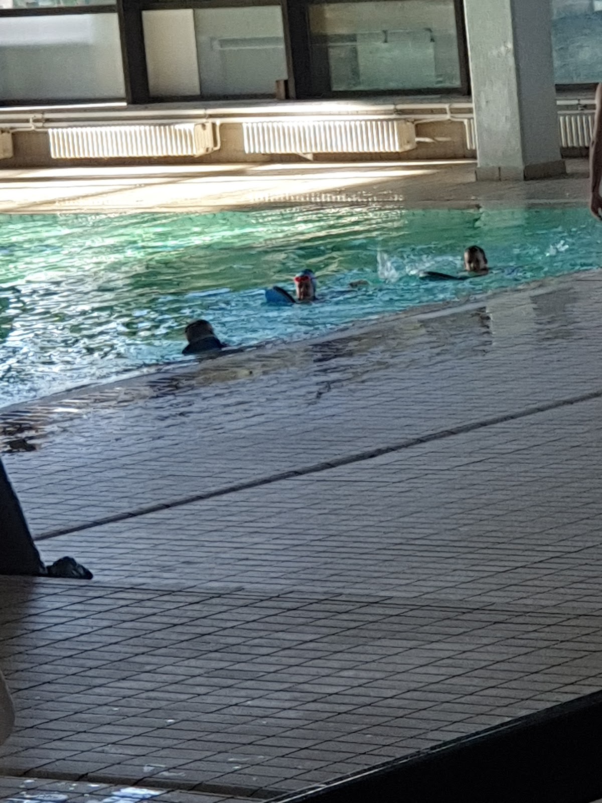 Plivački klub "Vojvodina" - Bazeni u Novom Sadu
